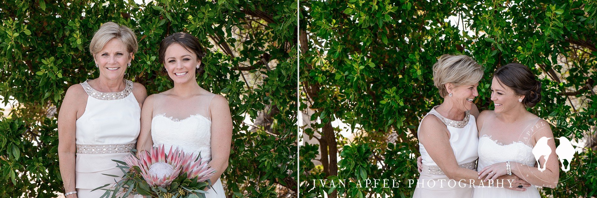 Drop Anchor Resort Islamorada Wedding Florida Keys Ivan Apfel Photography Kaitlin and Ben_0204.jpg